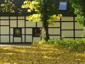 Herbsttag Schwanenmühle Fachwerk JR